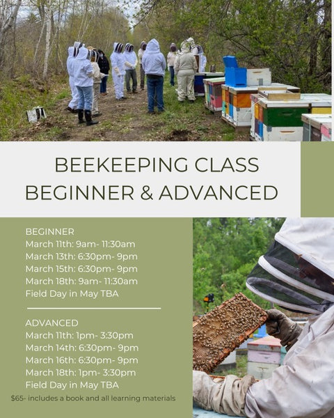 2023 Beginner and Advanced Beekeeping Classes