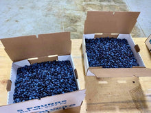 Load image into Gallery viewer, Maine Wild Blueberries (Preorder - August Pickup)